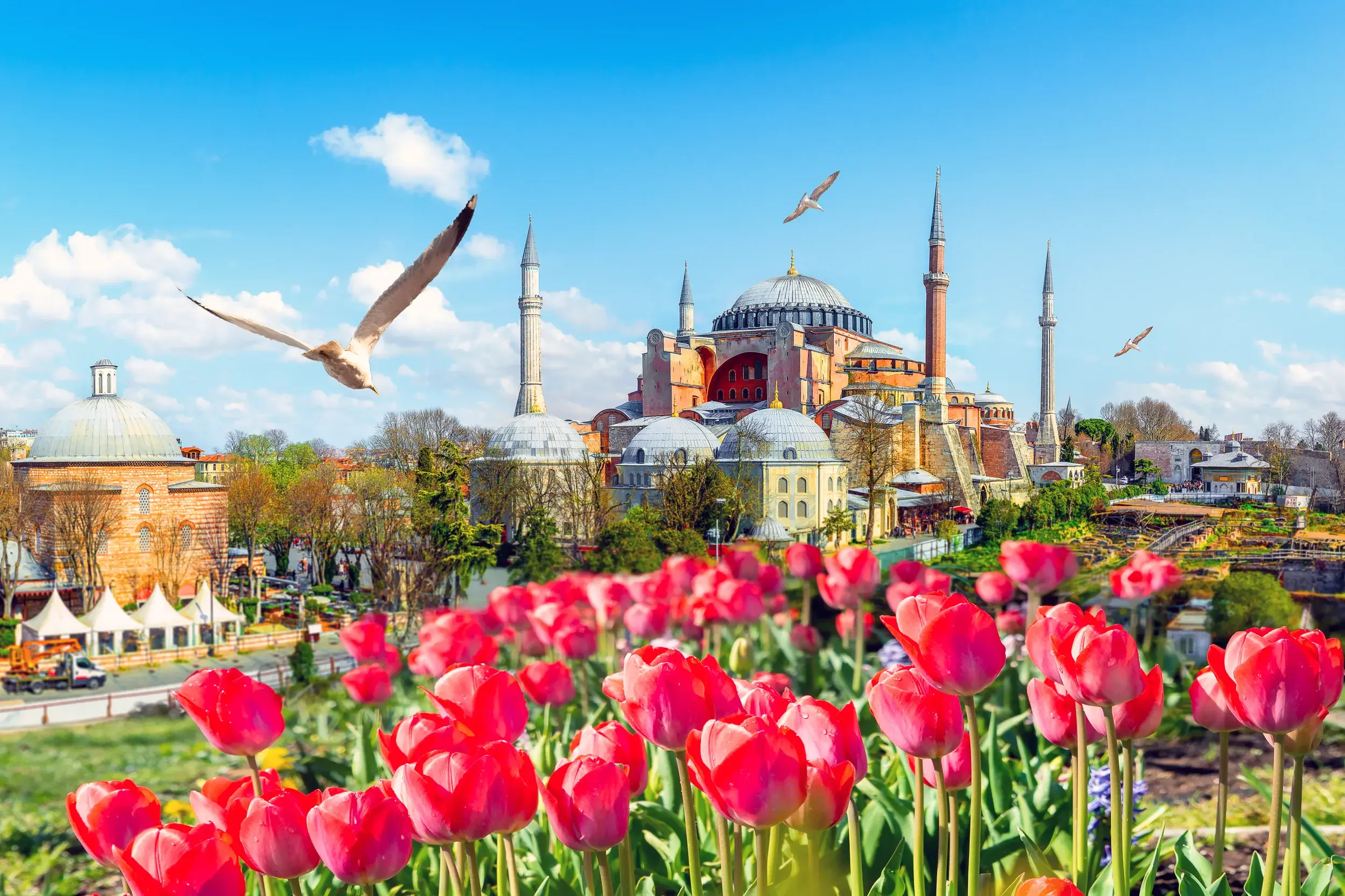 Blick über rote Tulpen während des Tulpenfestivals auf die Hagia Sophia in Istanbul unter blauem Himmel