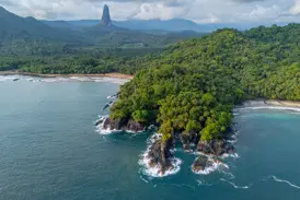 Luftaufnahme der wilden, bewaldeten Küste von São Tomé mit Blick auf den markanten Vulkanfelsen Pico Cão Grande am Horizont.