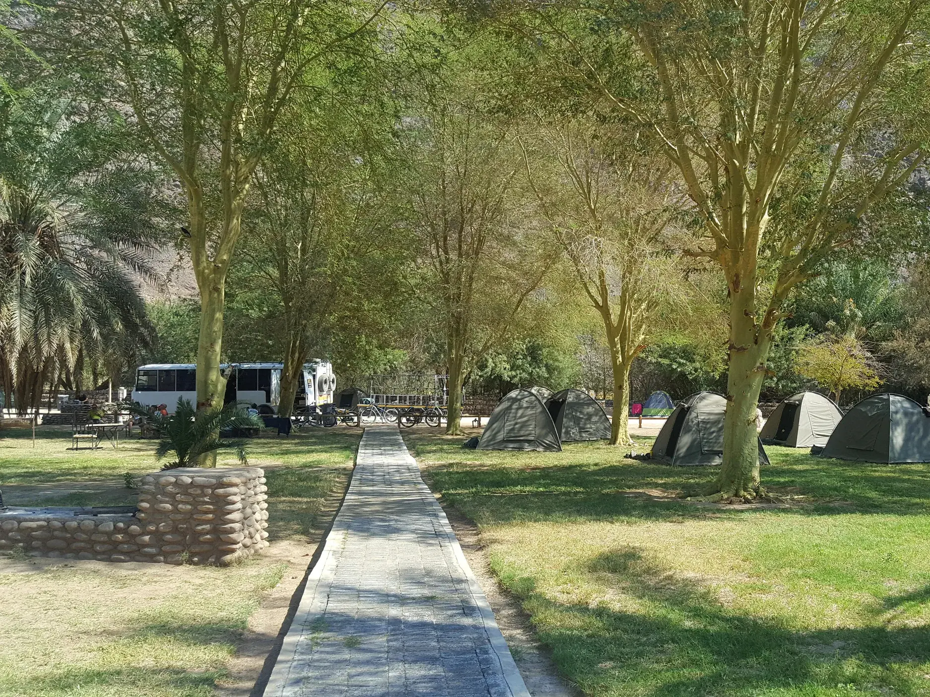Idyllischer Campingplatz mit Zelten unter Bäumen auf einer Mountainbike-Reise durch das südliche Afrika.