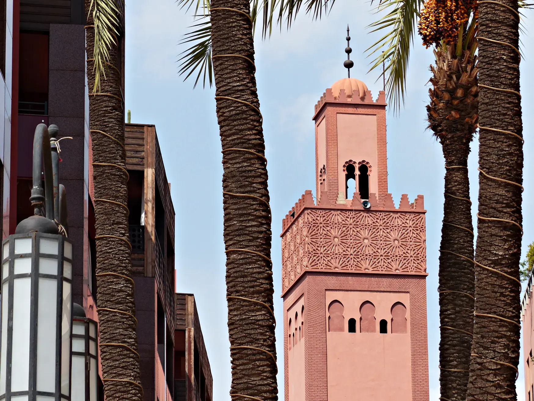 Blick durch dicke Palmstämme auf das reich verzierte, rote Minarett der Koutoubia-Moschee in Marrakesch bei Tageslicht.