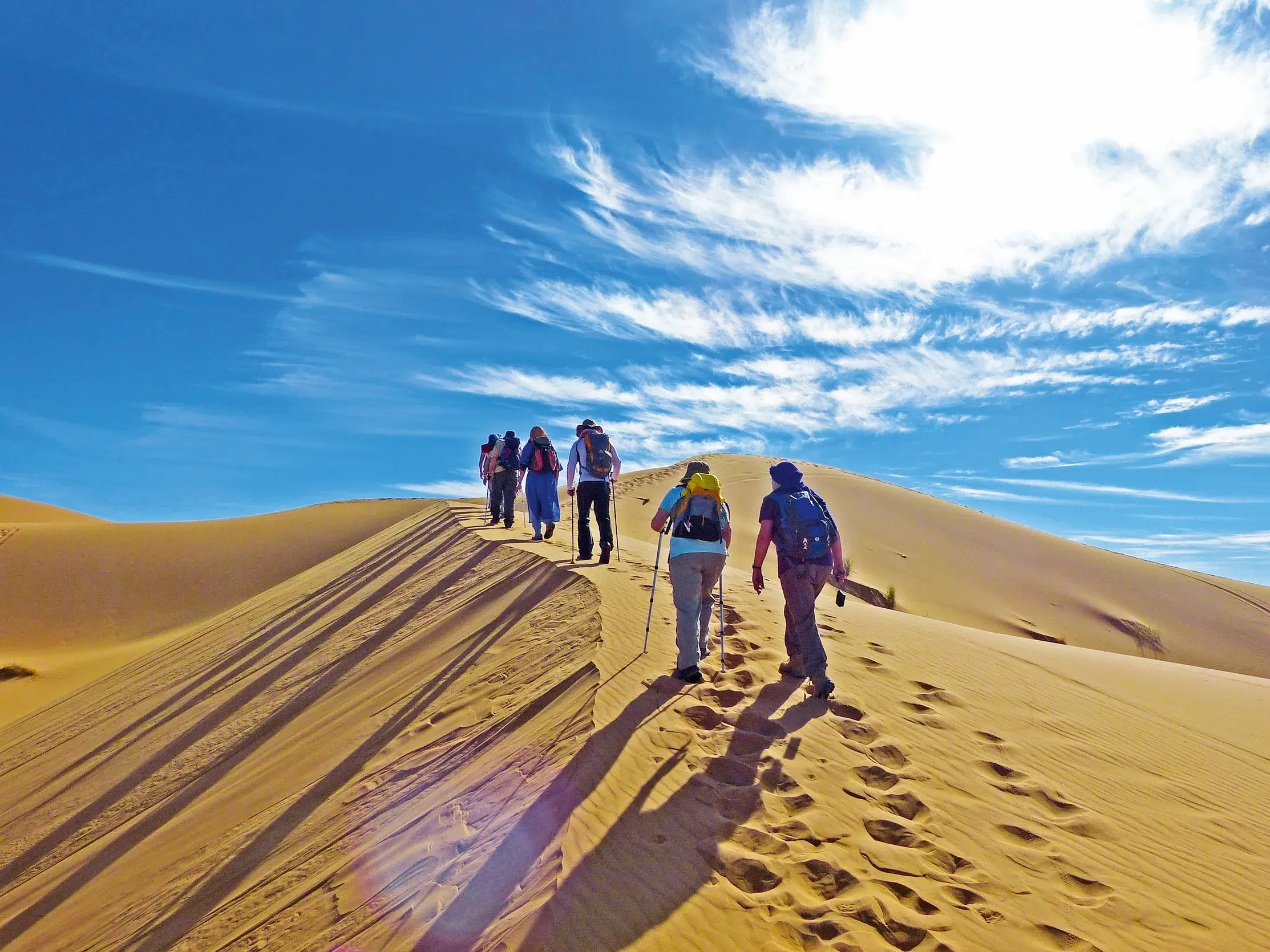 Eine Trekkinggruppe wandert bei strahlend blauem Himmel über einen goldenen Dünenkamm in der Wüste nahe Merzouga, Marokko.