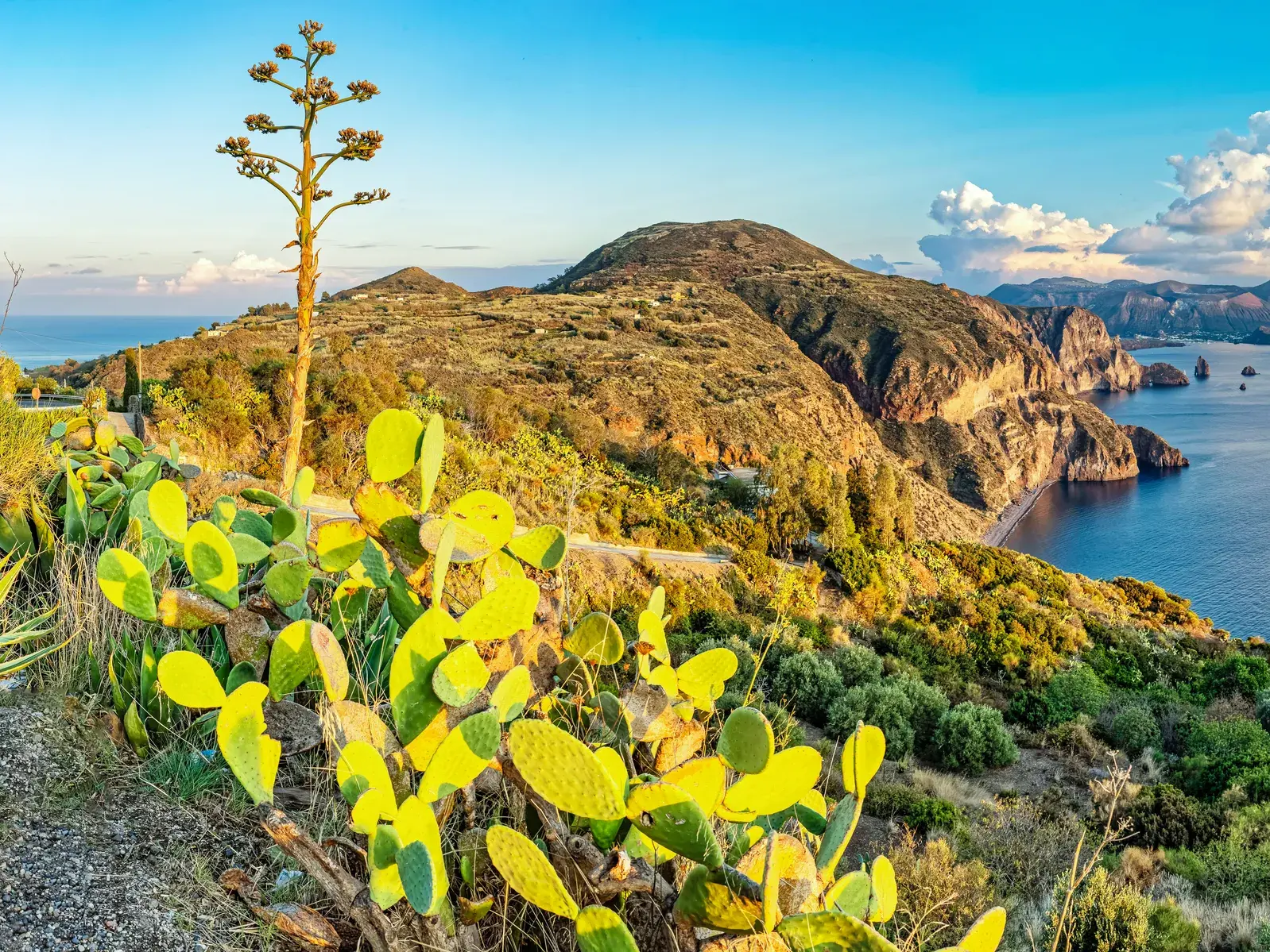 Feigenkakteen im Vordergrund einer malerischen Küstenlandschaft auf Lipari mit Blick auf das Meer der Äolischen Inseln.