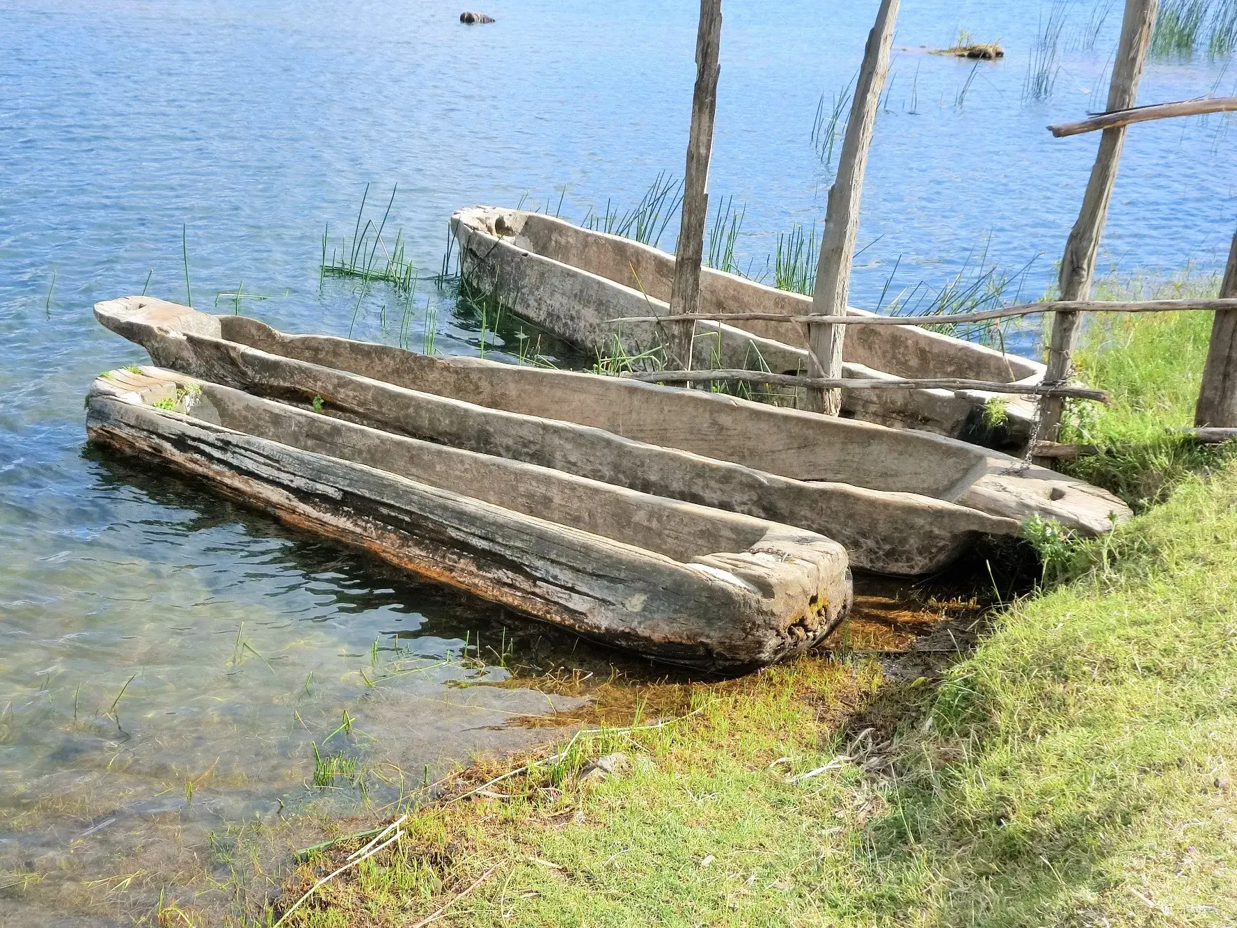 Drei traditionelle Einbaum-Boote aus Holz am grasbewachsenen Ufer des Chamo -Sees im Süden von Äthiopien.