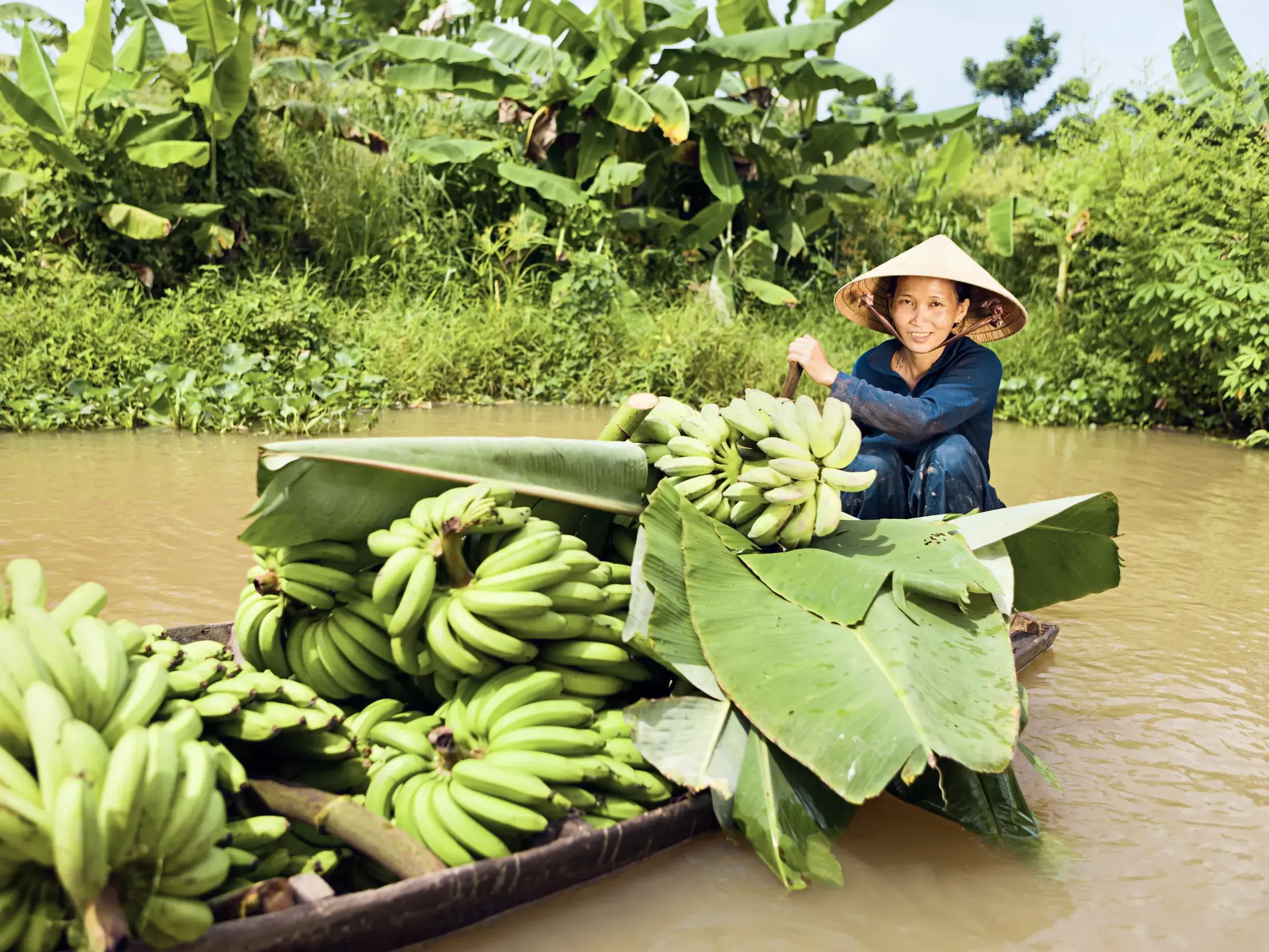 Freundliche Vietnamesin mit Kegelhut steuert ihr mit grünen Bananen beladenes Boot durch die Wasserwege des Mekongdeltas.