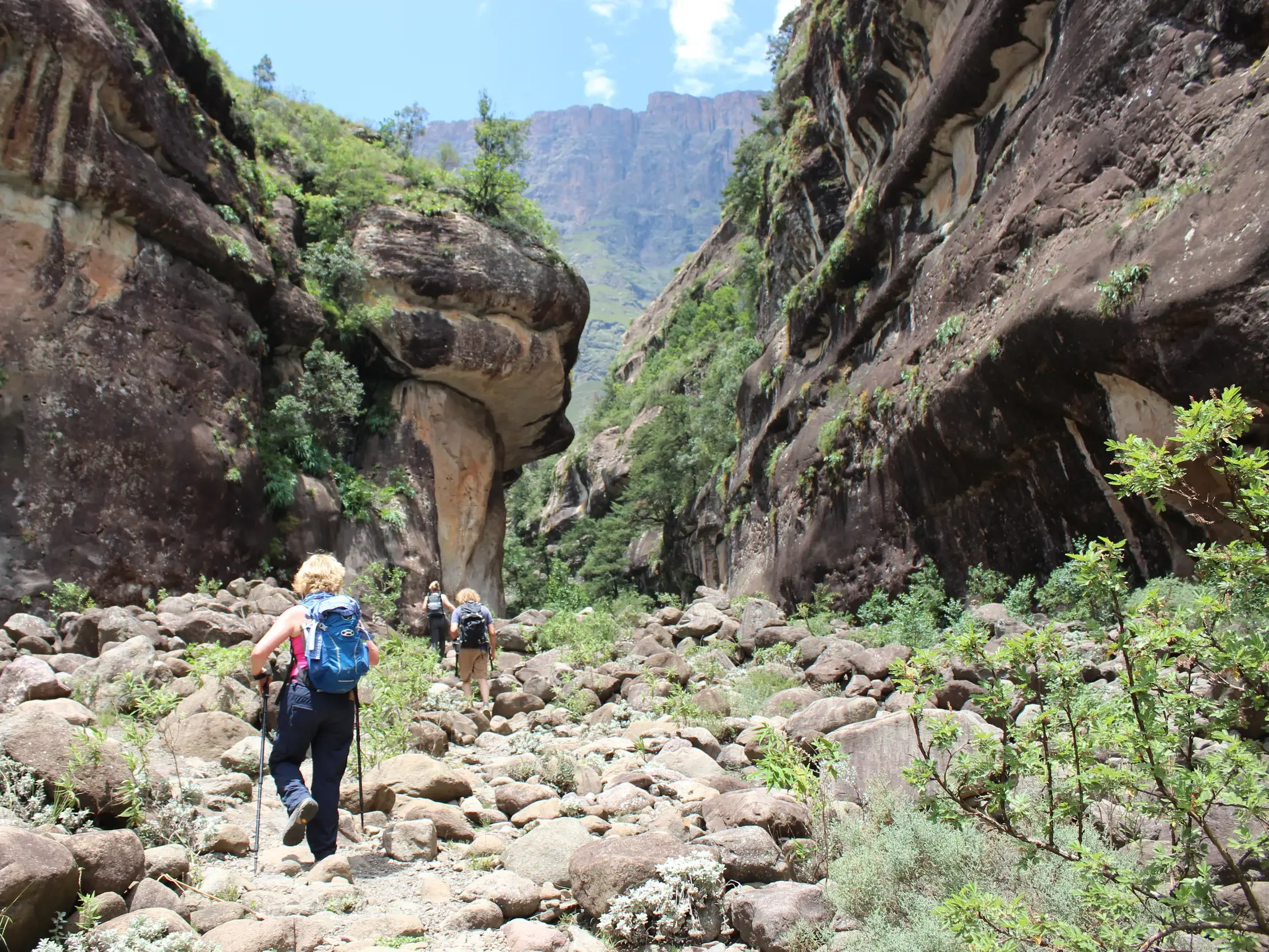 Eine kleine Wandergruppe erkundet auf einem steinigen Weg die majestätische Tugela-Schlucht in den Drakensbergen.