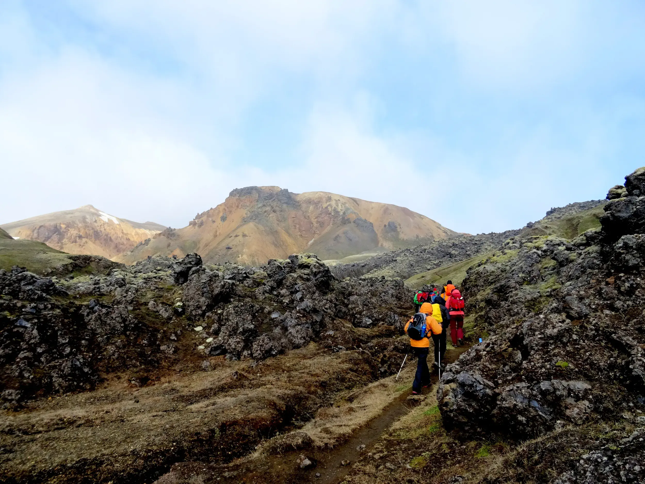 Eine Wandergruppe auf einer Hauser-Reise durchquert ein moosiges Lavafeld in der bunten Bergwelt von Landmannalaugar in Island.