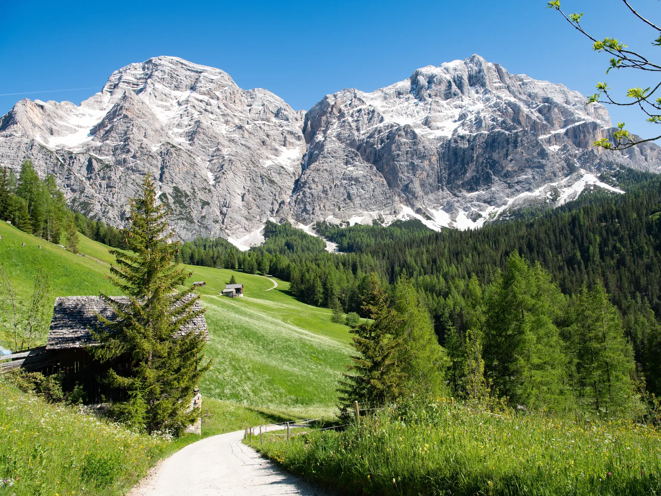 Sonniger Wanderweg durch Almwiesen und Wälder mit Blick auf die markanten, schneebedeckten Gipfel von Alta Badia in Südtirol.