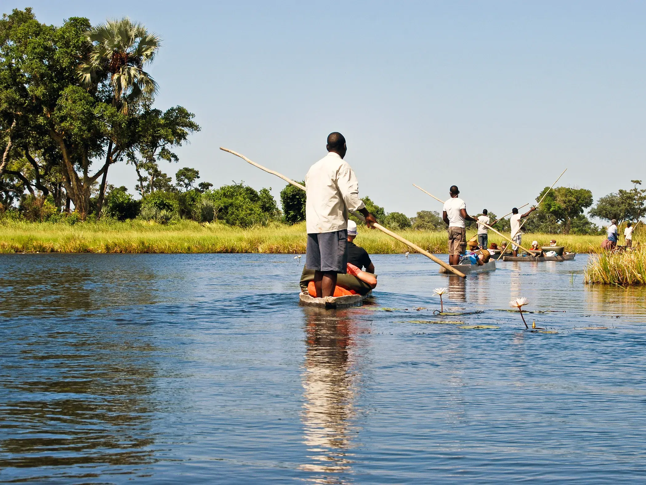 Eine Reisegruppe gleitet in traditionellen Mokoro-Einbäumen durch die Wasserkanäle des Okavangodeltas in Botswana.