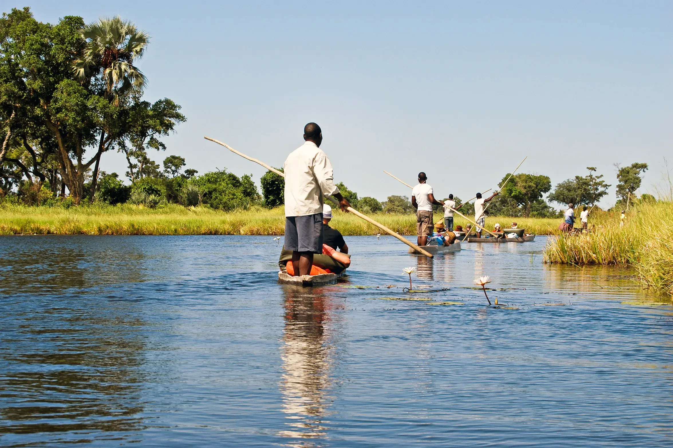 Eine Reisegruppe gleitet in traditionellen Mokoro-Einbäumen durch die Wasserkanäle des Okavangodeltas in Botswana.