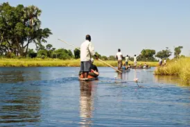 Eine Reisegruppe gleitet in traditionellen Mokoro-Einbäumen durch die Wasserkanäle des Okavangodeltas in Botswana.