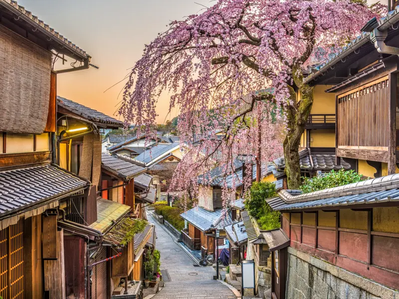 Traditionelle Gasse im Higashiyama-Viertel in Kyoto bei Sonnenuntergang mit einem üppig blühenden Kirschbaum.
