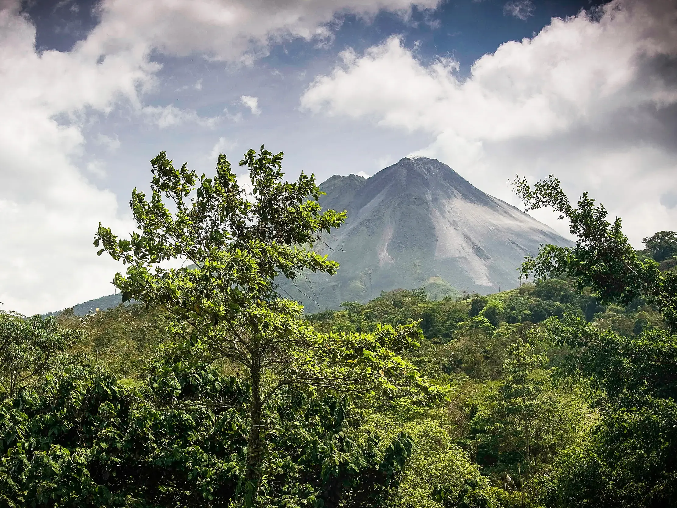 Panoramablick auf den Vulkan Arenal in Costa Rica durch den üppigen mittelamerikanischen Dschungel  während einer Studienreise.