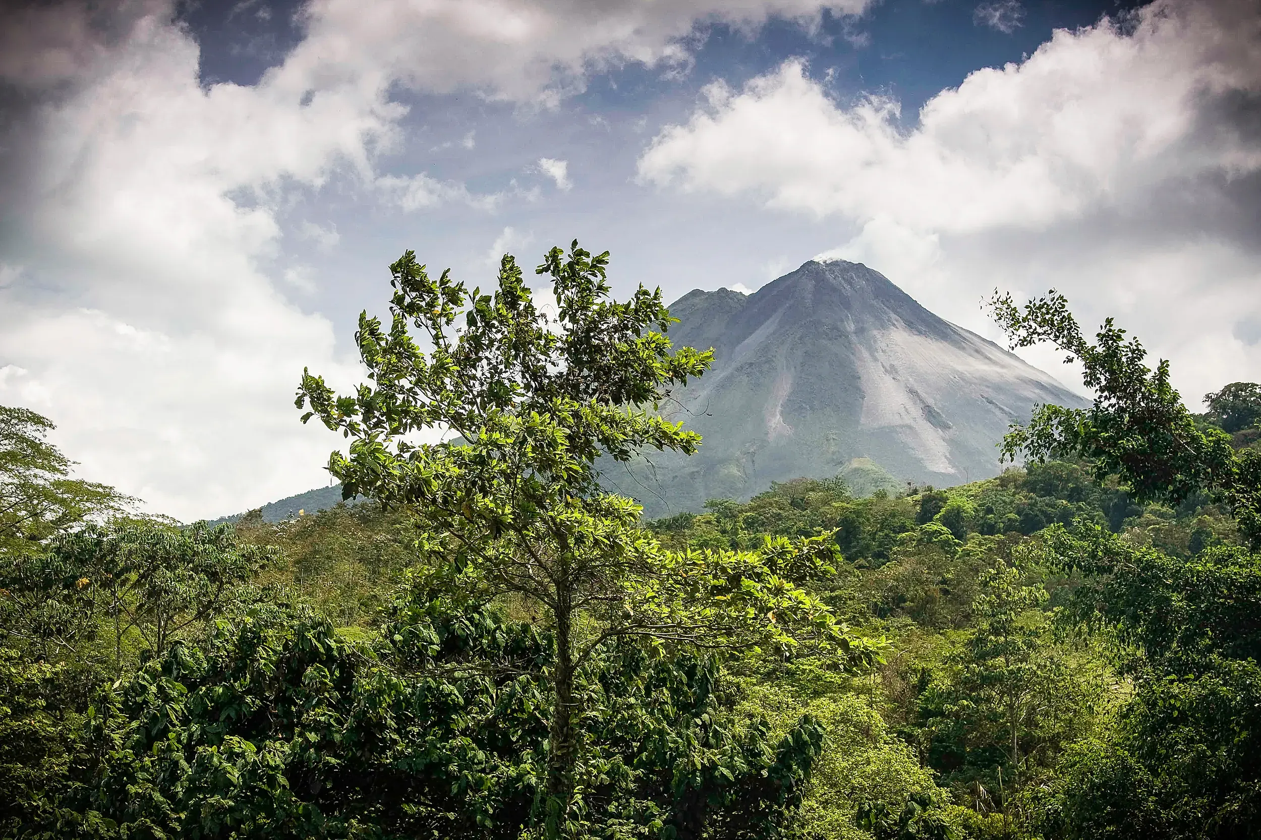 Panoramablick auf den Vulkan Arenal in Costa Rica durch den üppigen mittelamerikanischen Dschungel  während einer Studienreise.