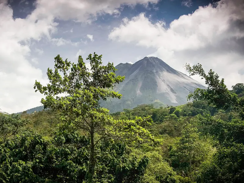 Panoramablick auf den Vulkan Arenal in Costa Rica durch den üppigen mittelamerikanischen Dschungel während einer Studienreise.