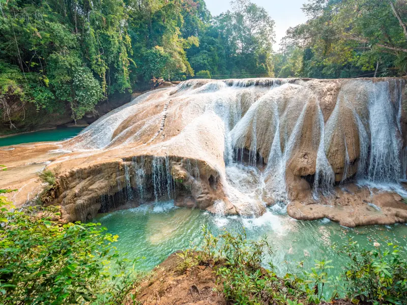 Breite Kaskaden der Wasserfälle von Roberto Barrios stürzen in türkise Naturpools, umgeben von dichtem Regenwald in Mexiko.