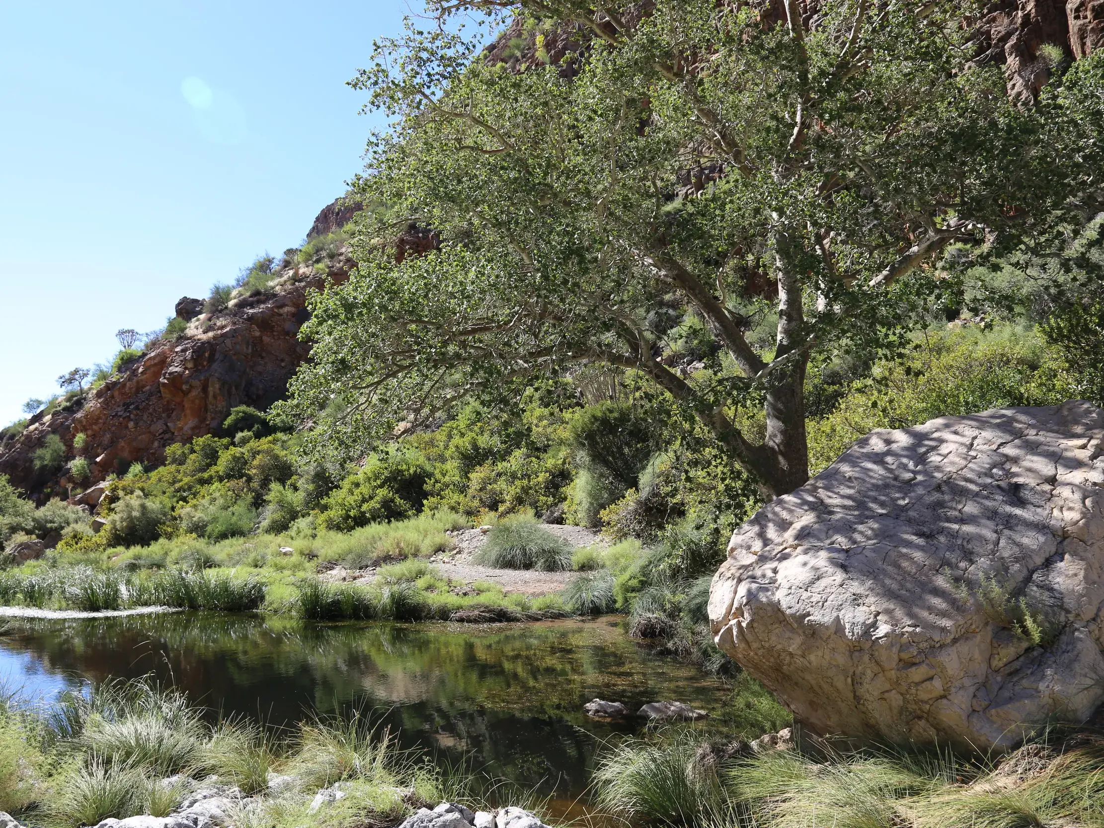 Wanderung in den Naukluftbergen: Ein kristallklarer Teich in einer felsigen Schlucht bietet eine grüne Oase in Namibias Wüste.