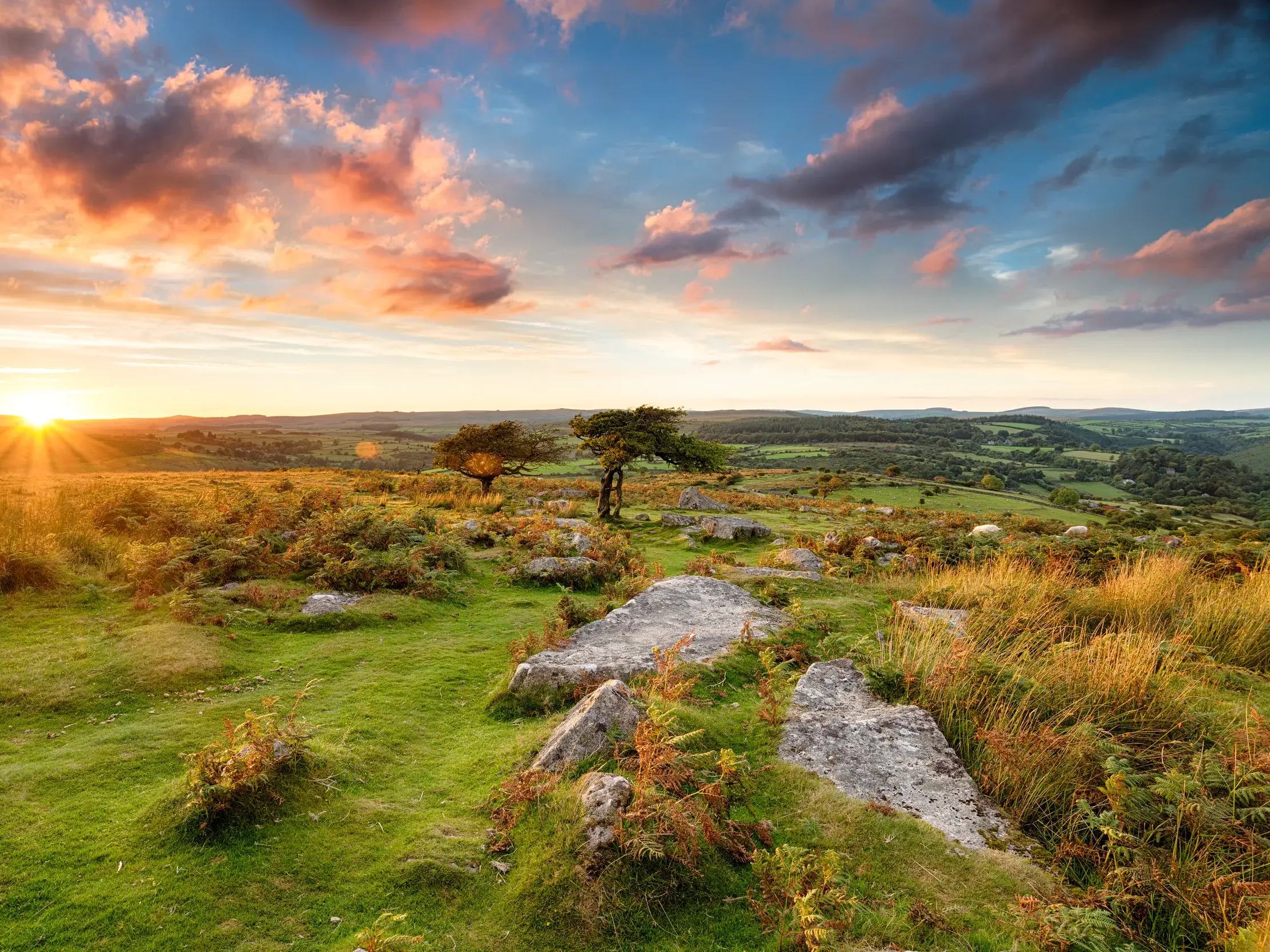 Dramatischer Sonnenuntergang mit bunten Wolken über der grünen Moor- und Heidelandschaft des Dartmoor-Nationalparks.