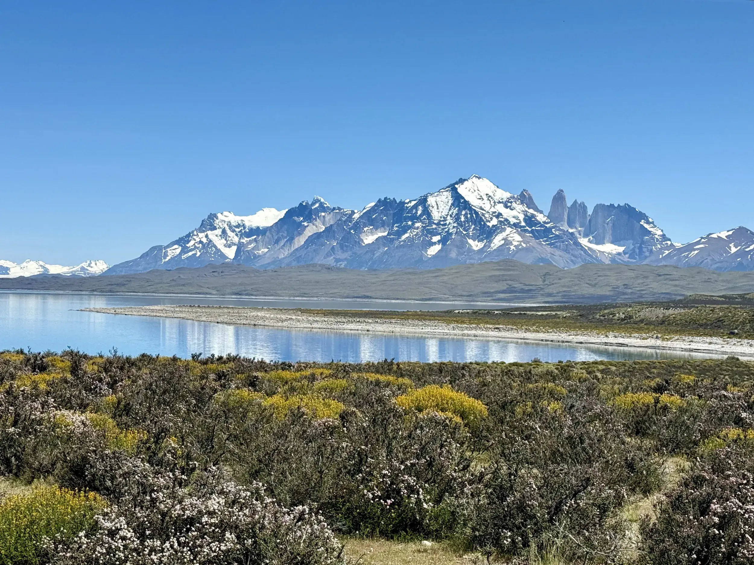 Sonniger Panoramablick über die patagonische Steppe und einen See auf die markanten, schneebedeckten Gipfel des Paine-Massivs.