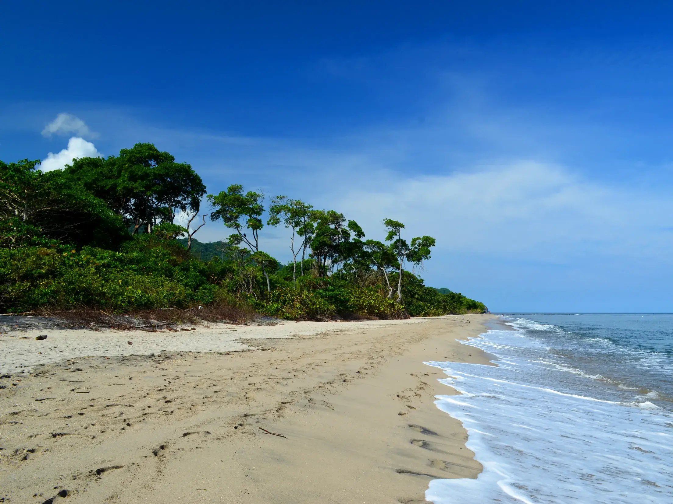 Einsamer Sandstrand an der Karibikküste im Tayrona-Nationalpark in Kolumbien, gesäumt von tropischem Trockenwald.