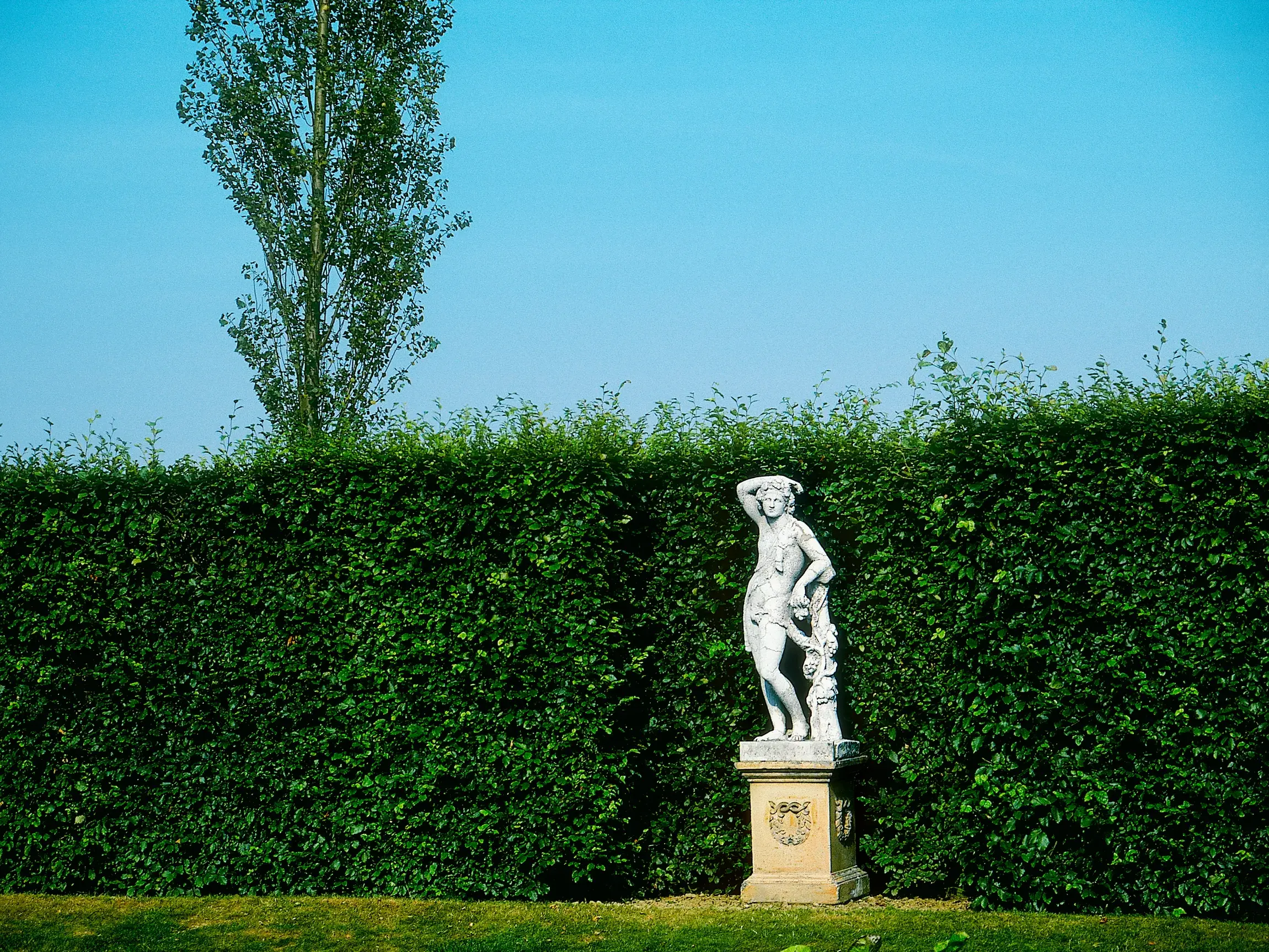 Klassische weiße Statue des Apoll auf einem Sockel vor einer hohen, dichten Hecke im Landschaftsgarten von Rousham.