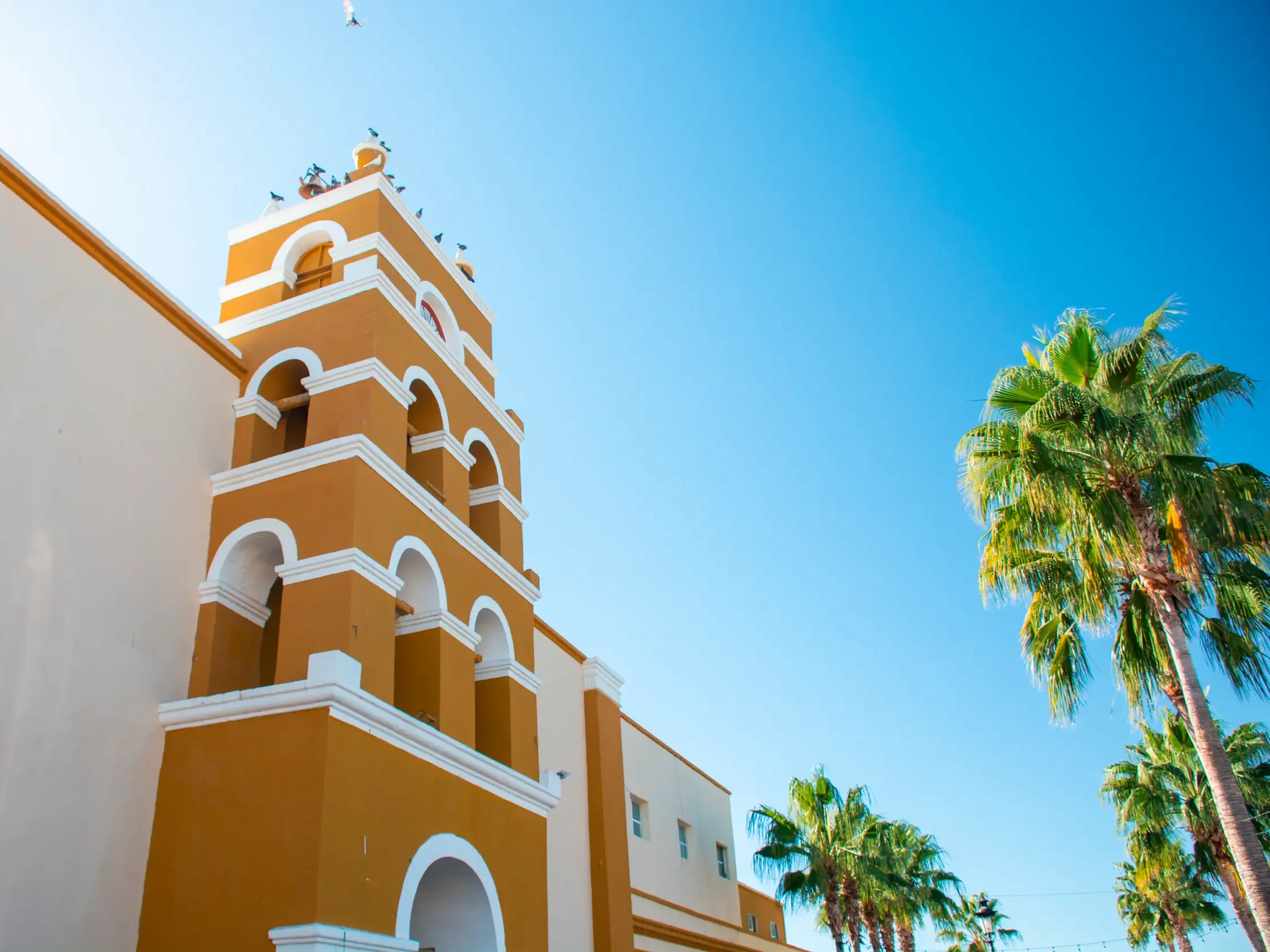 Ockerfarbener Glockenturm der Missionskirche in Loreto auf der Baja California, flankiert von Palmen unter klarem, blauem Himmel.