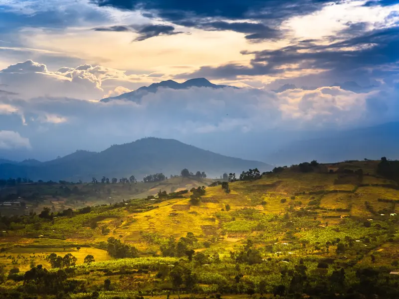 Sonnige, terrassierte Hügellandschaft im Kigezi-Hochland Ugandas vor der majestätischen, wolkenverhangenen Kette der Virunga-Vulkane.