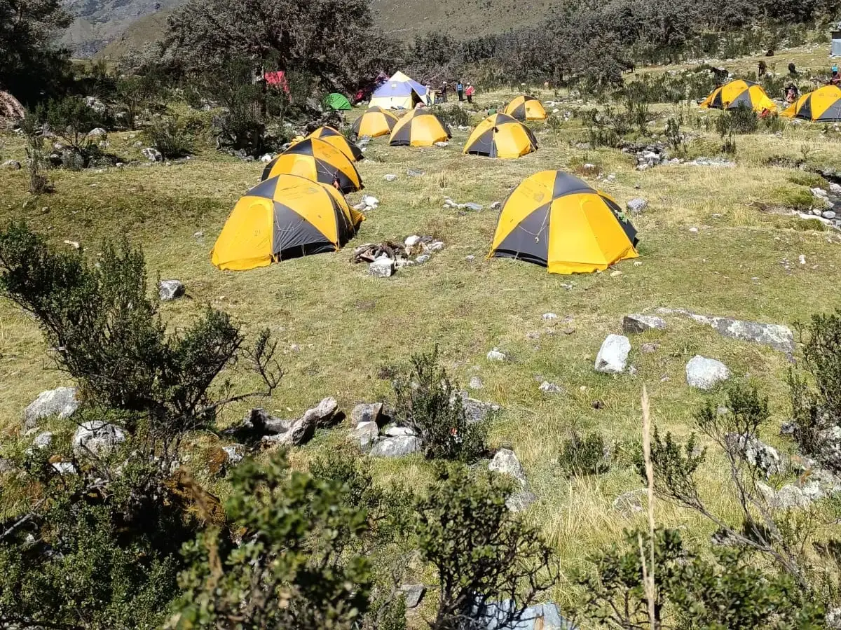 Aufgeschlagene gelbe Zelte auf einer Wiese im Alpamayo Base-Camp während einer Trekking-Expedition in der Cordillera Blanca.