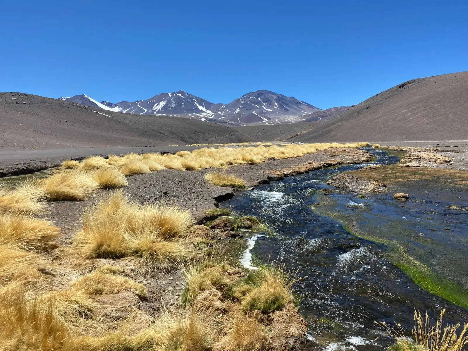Beim Trekking in der Atacama-Wüste führt ein Bergbach durch eine karge Hochebene mit Blick auf die schneebedeckten Anden.