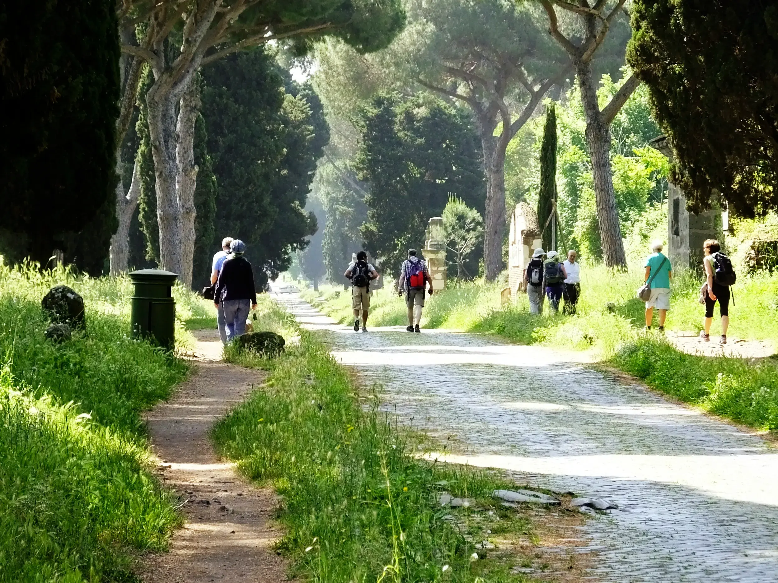 Eine Hauser-Wandergruppe auf dem alten Kopfsteinpflaster der Via Appia Antica, gesäumt von hohen Pinien und Zypressen.