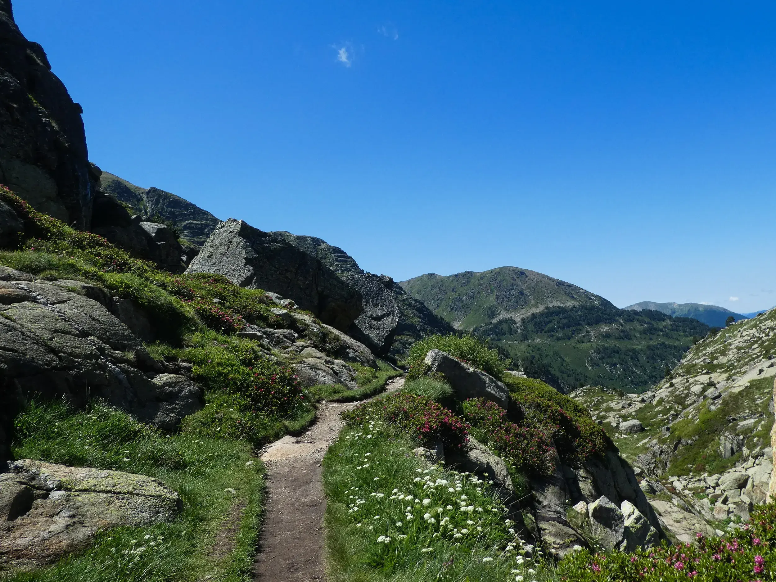 Schmaler Wanderpfad durch eine felsige Gebirgslandschaft mit Wildblumen im Naturpark Sorteny in Andorra.