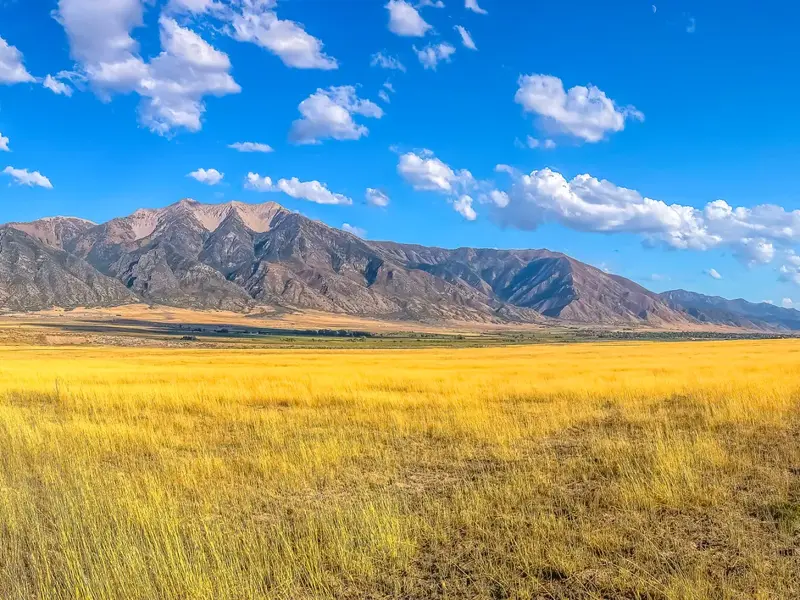 Weite, goldene Graslandschaft vor dem Hejaz-Gebirge in Saudi-Arabien, ein Höhepunkt der Studienreise durch die Wüste.