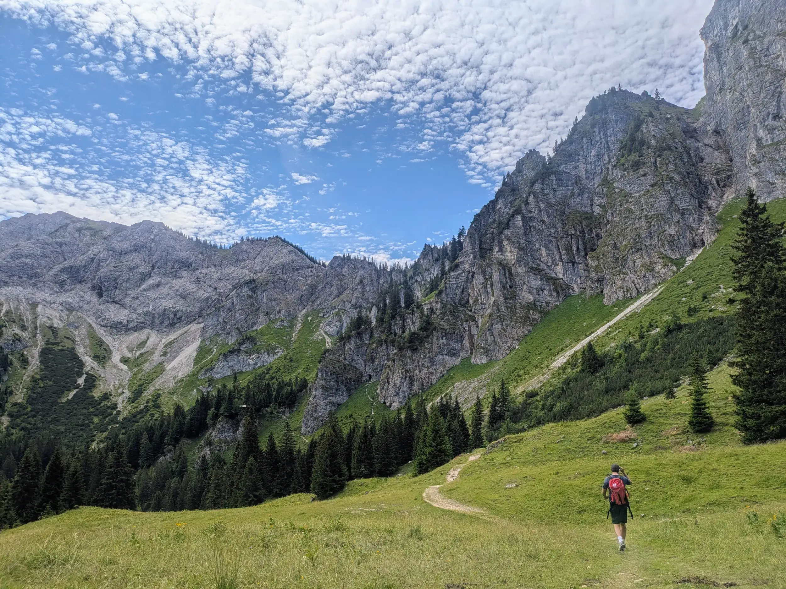 Auf einer Hüttenwanderung im Ostallgäu wandert eine Person auf einem Wiesenpfad durch ein Hochtal in den Ammergauer Alpen.