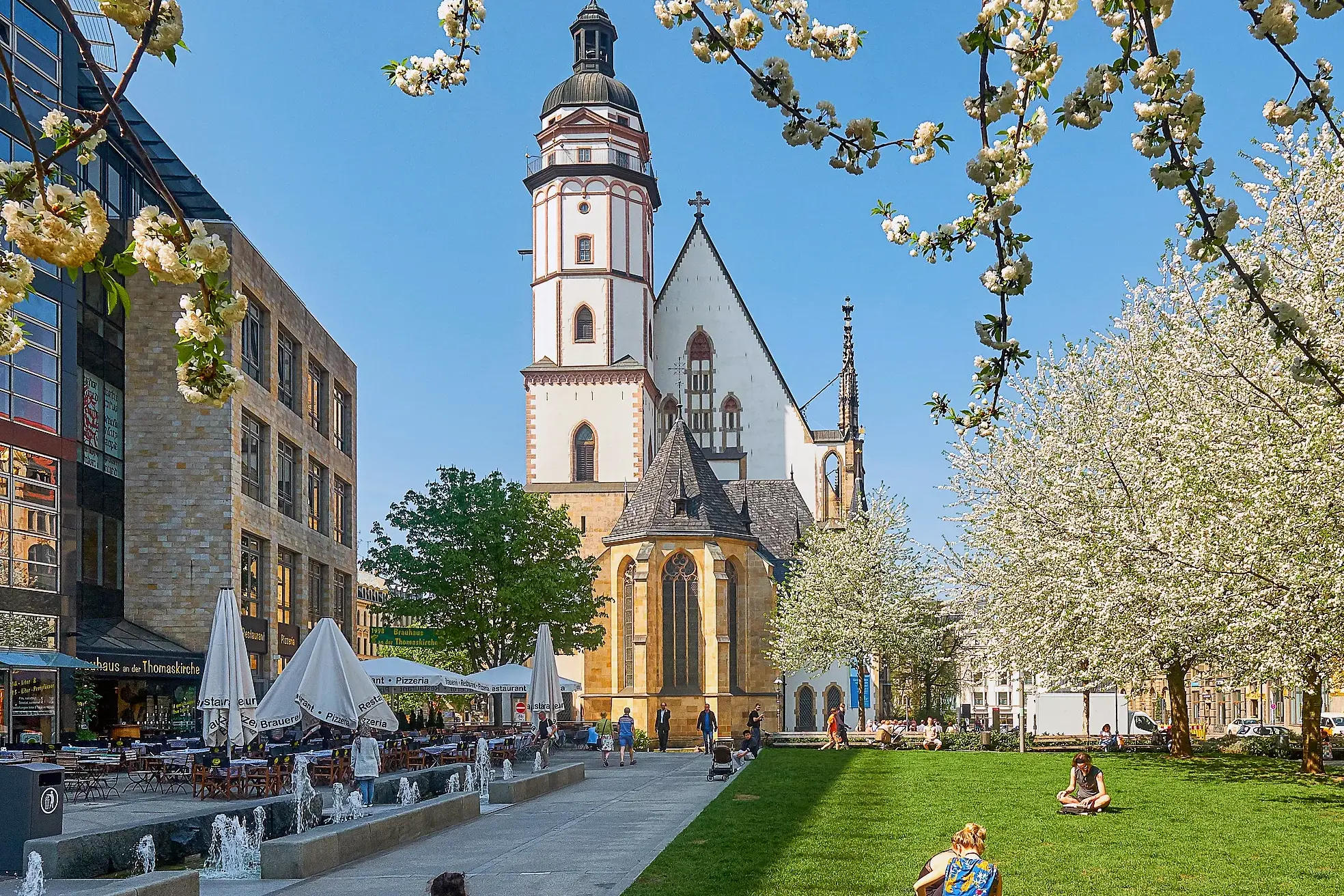 Historische Thomaskirche in Leipzig mit Kirchturm hinter einer grünen Parkanlage mit Frühlingsblüten