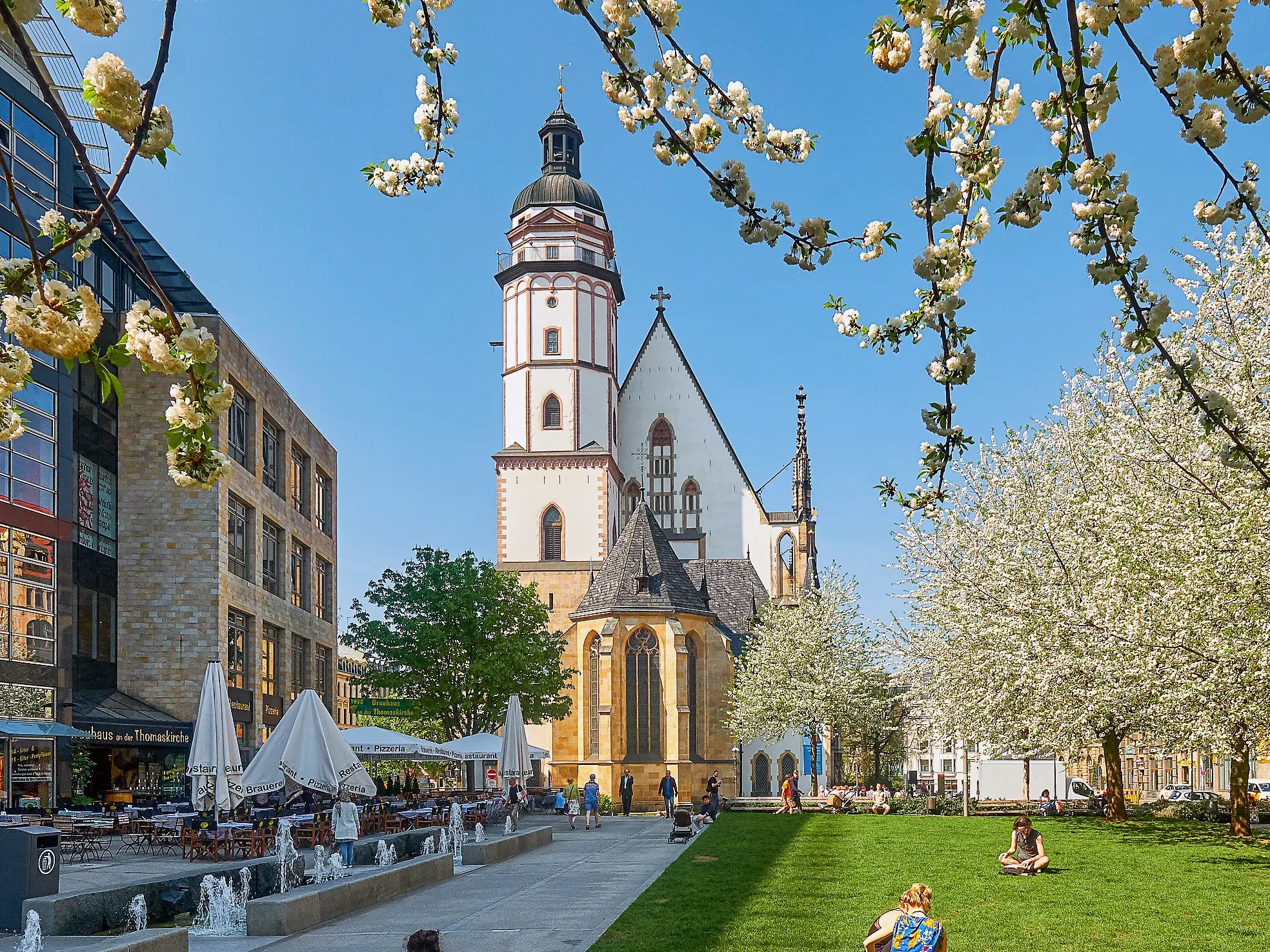 Historische Thomaskirche in Leipzig mit Kirchturm hinter einer grünen Parkanlage mit Frühlingsblüten
