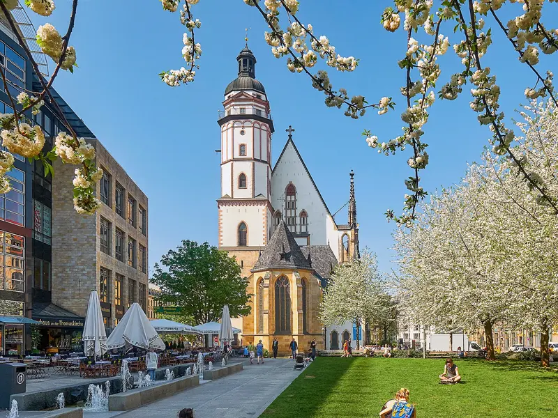 Historische Thomaskirche in Leipzig mit Kirchturm hinter einer grünen Parkanlage mit Frühlingsblüten