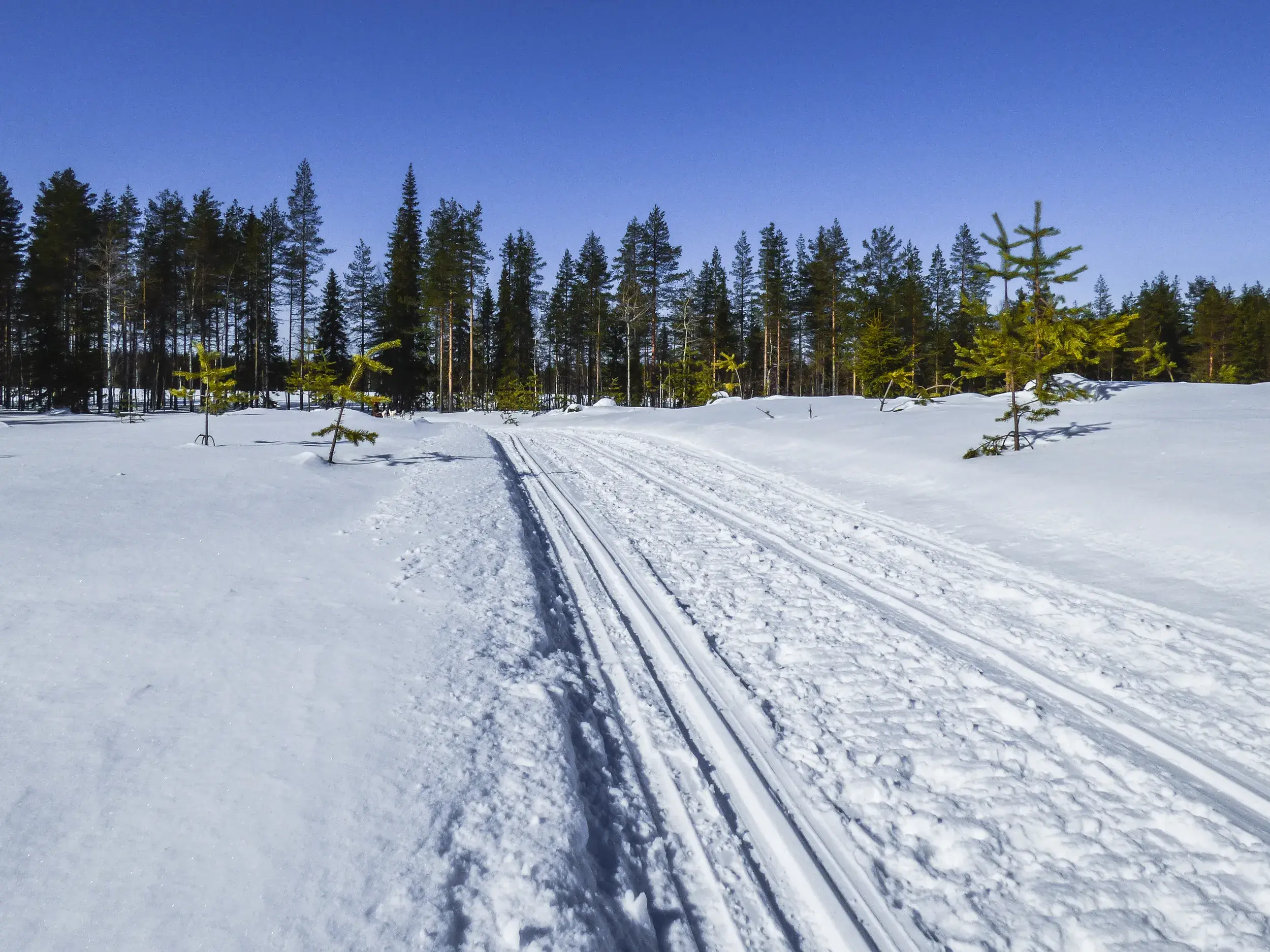 Gespurte Loipe für eine Langlauftour in der unberührten Winterlandschaft von Koillismaa in Finnisch Lappland.