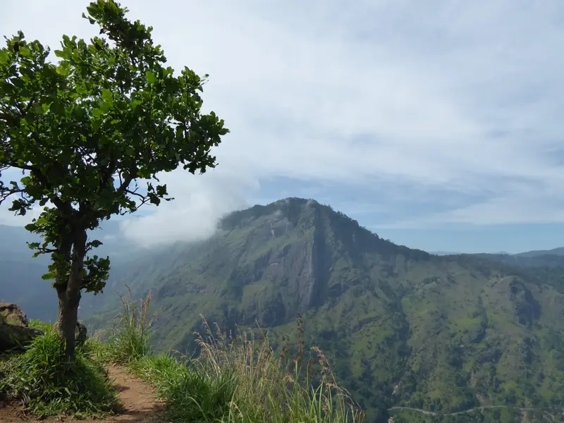 Blick von einem Wanderweg auf die wolkenverhangenen, grünen Berge des Hochlands bei Ella während einer Trekking-Reise in Sri Lanka.