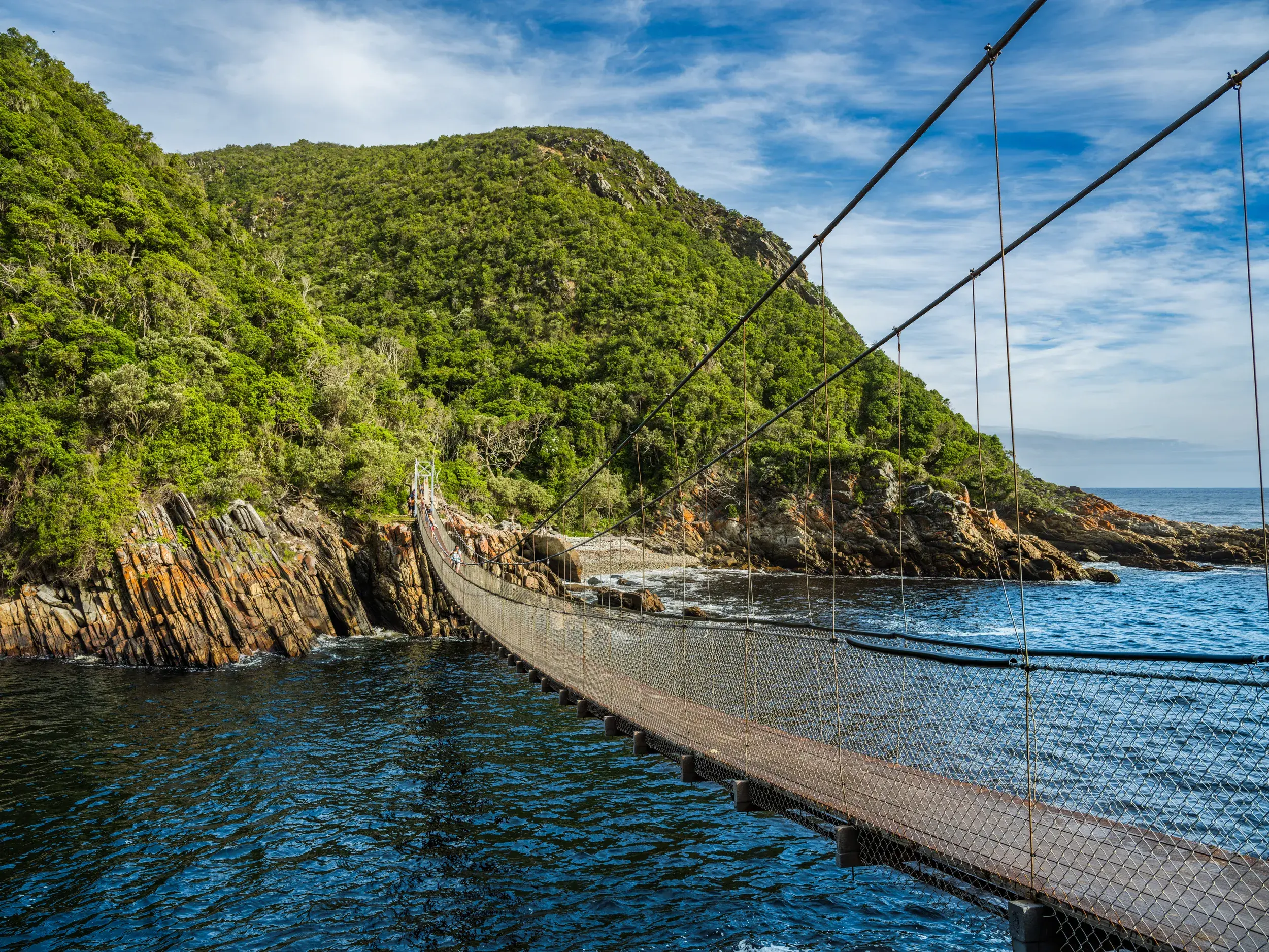 Eine Hängebrücke führt über die Mündung des Storms River im Tsitsikamma Nationalpark zu einer dicht bewaldeten Steilküste.