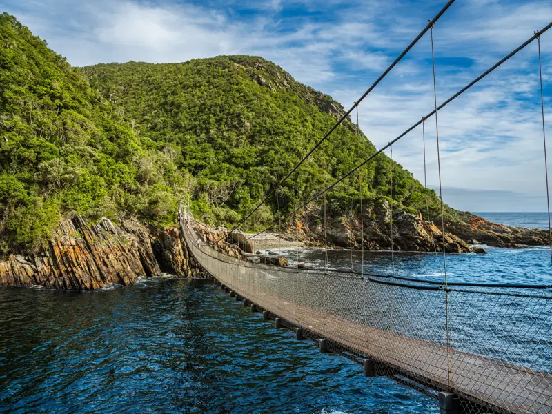 Eine Hängebrücke führt über die Mündung des Storms River im Tsitsikamma Nationalpark zu einer dicht bewaldeten Steilküste.