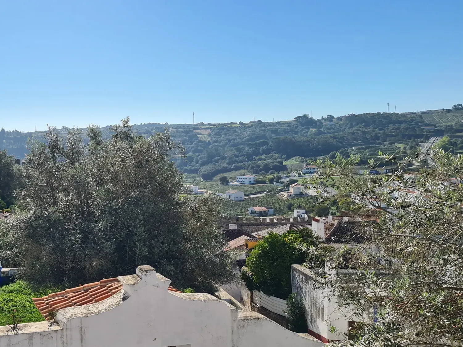 Weitblick über die Dächer von Óbidos auf die grüne, sanfte Hügellandschaft Zentralportugals bei blauem Himmel.