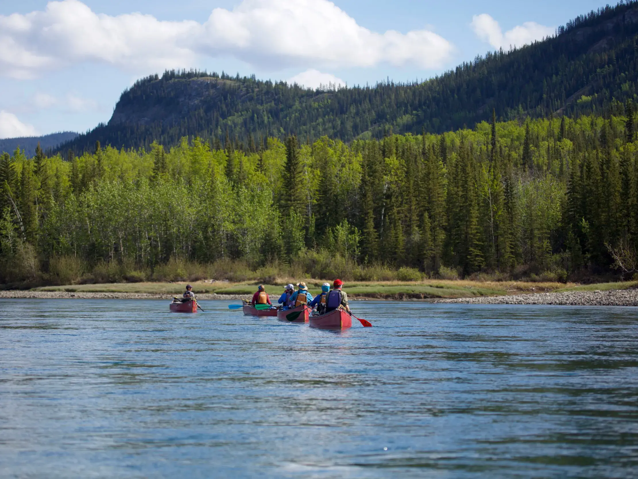 Eine Reisegruppe beim Kanutrekking auf dem Yukon River, umgeben von der weiten, bewaldeten Wildnis Kanadas.