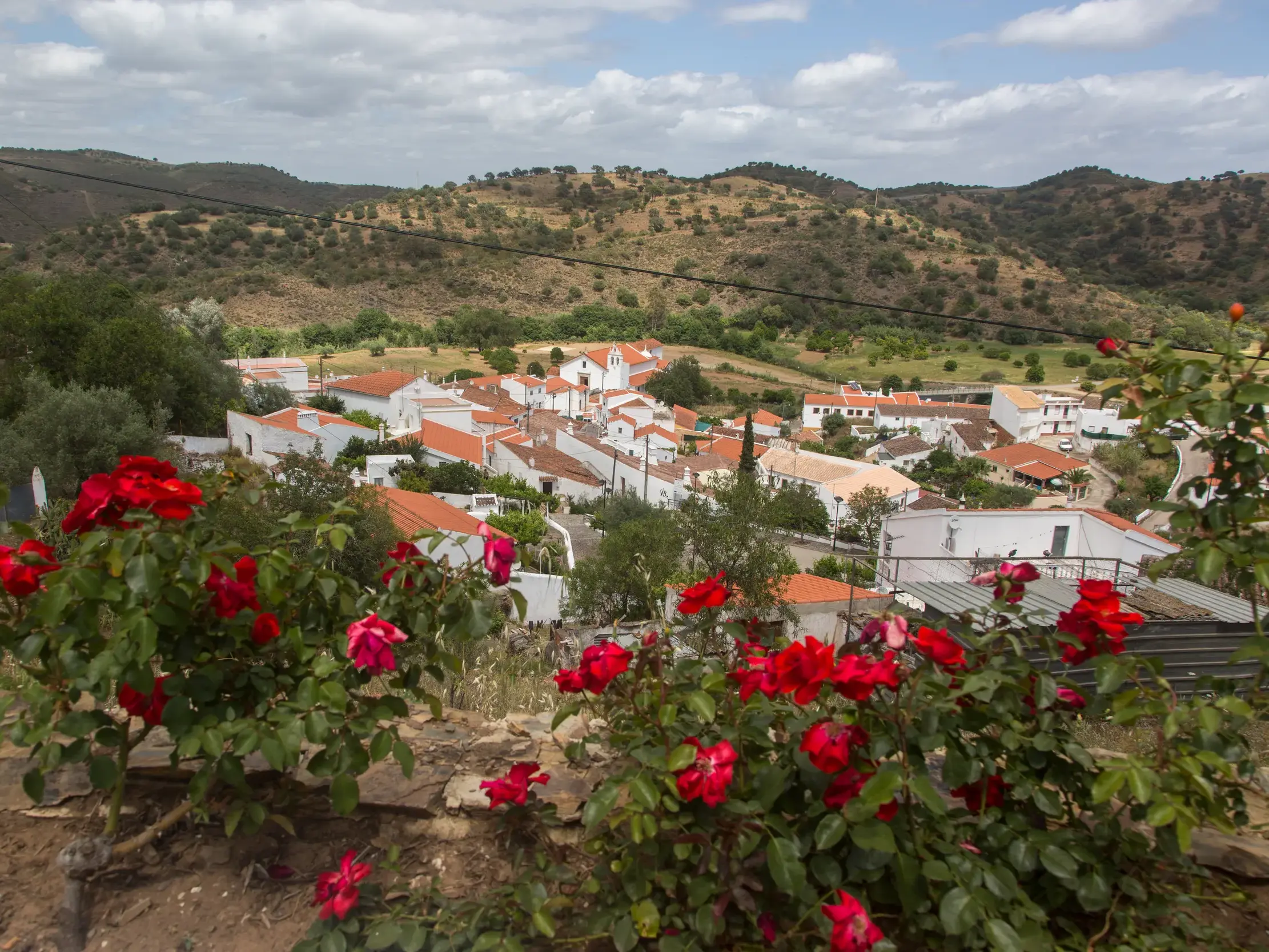Rote Rosen am Wegesrand einer Wanderung mit Blick auf ein weißes Dorf im hügeligen Barrocal der Algarve.