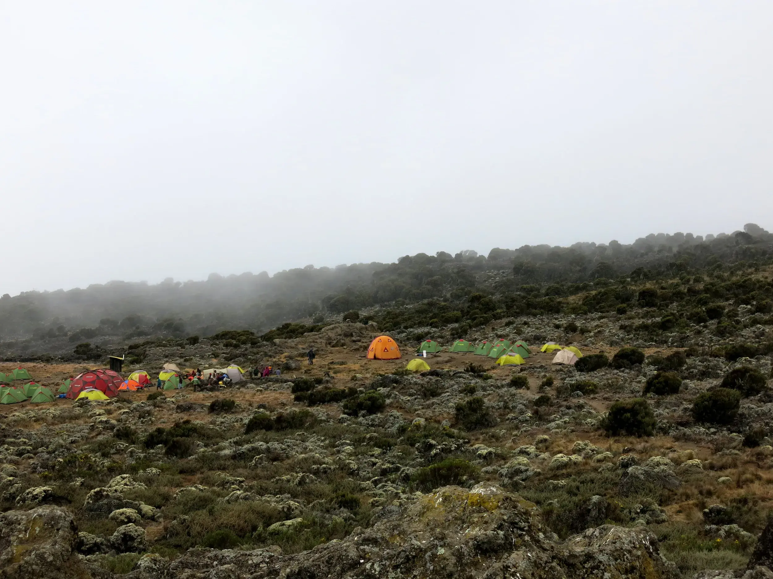 Bunte Zelte eines Trekking-Camps in der weiten, nebelverhangenen Hochmoorlandschaft bei der Kilimanjaro-Besteigung.