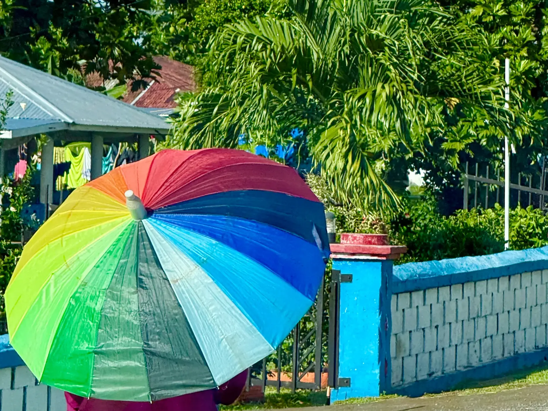 Ein aufgespannter, regenbogenfarbener Schirm vor einem Haus in einem Dorf auf Samoa, im Hintergrund Palmen und Wäsche.