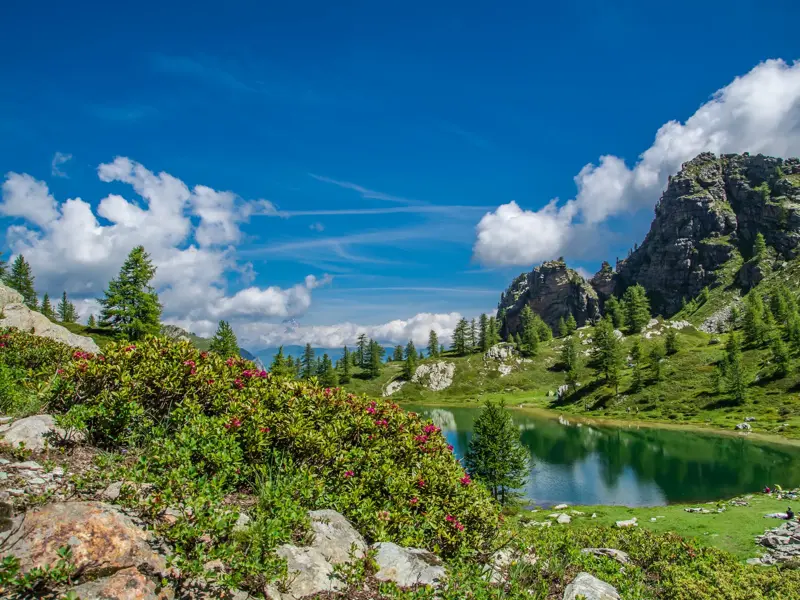 Wanderer rasten an einem smaragdgrünen Bergsee im Maira-Tal im Piemont, umgeben von blühenden Alpenrosen und Felsen.