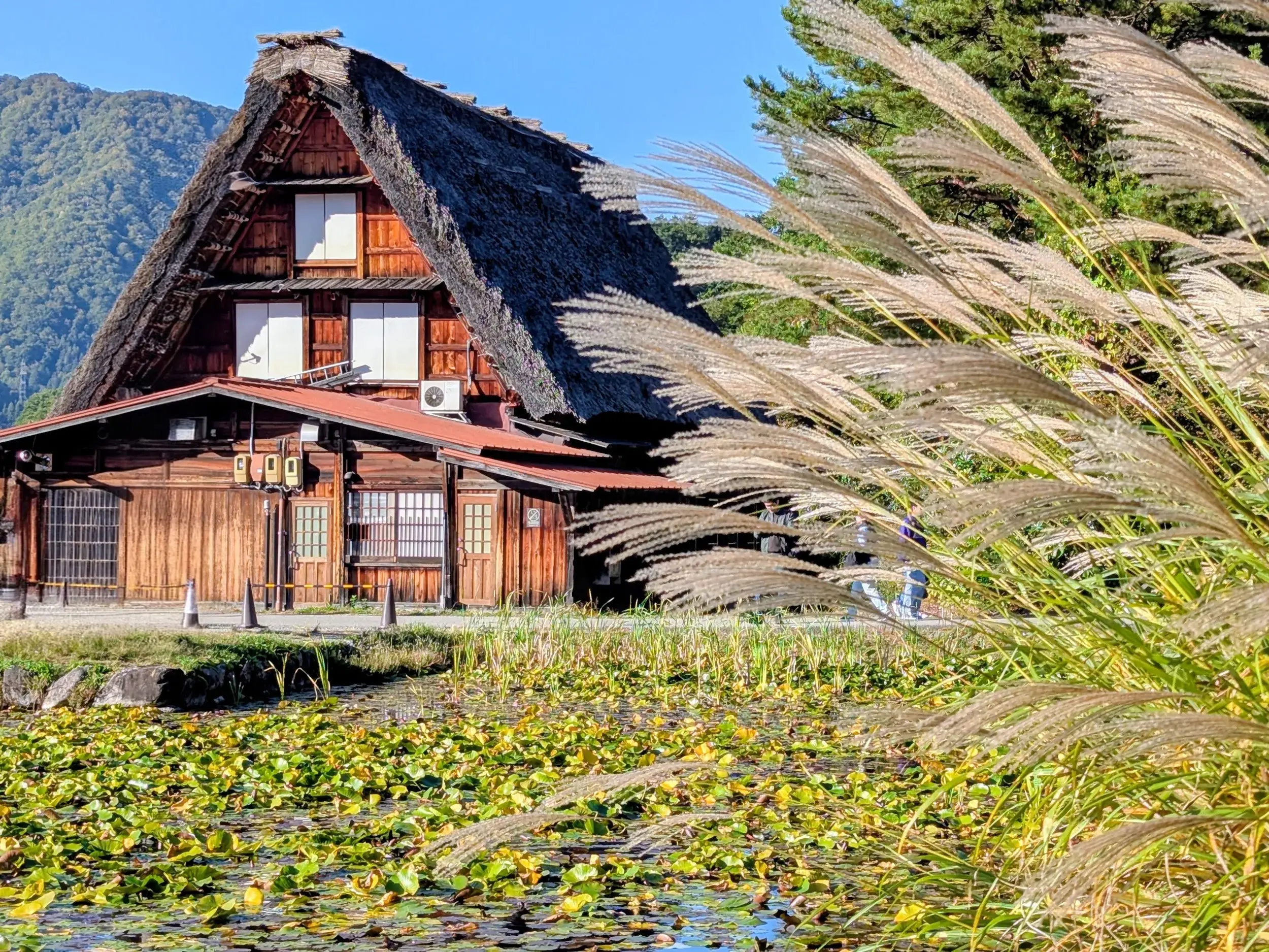 Strohgedecktes Bauernhaus im Gassho-Stil am Seerosenteich im UNESCO-Welterbe-Dorf Shirakawa-go in den japanischen Alpen.