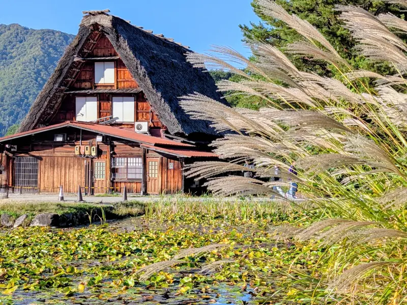 Strohgedecktes Bauernhaus im Gassho-Stil am Seerosenteich im UNESCO-Welterbe-Dorf Shirakawa-go in den japanischen Alpen.