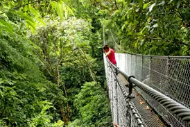Eine Frau auf einer Hängebrücke blickt während eines Baumwipfelspaziergangs in den dichten Nebelwald von Monteverde.