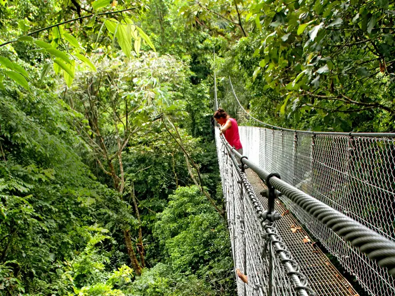 Eine Frau auf einer Hängebrücke blickt während eines Baumwipfelspaziergangs in den dichten Nebelwald von Monteverde.