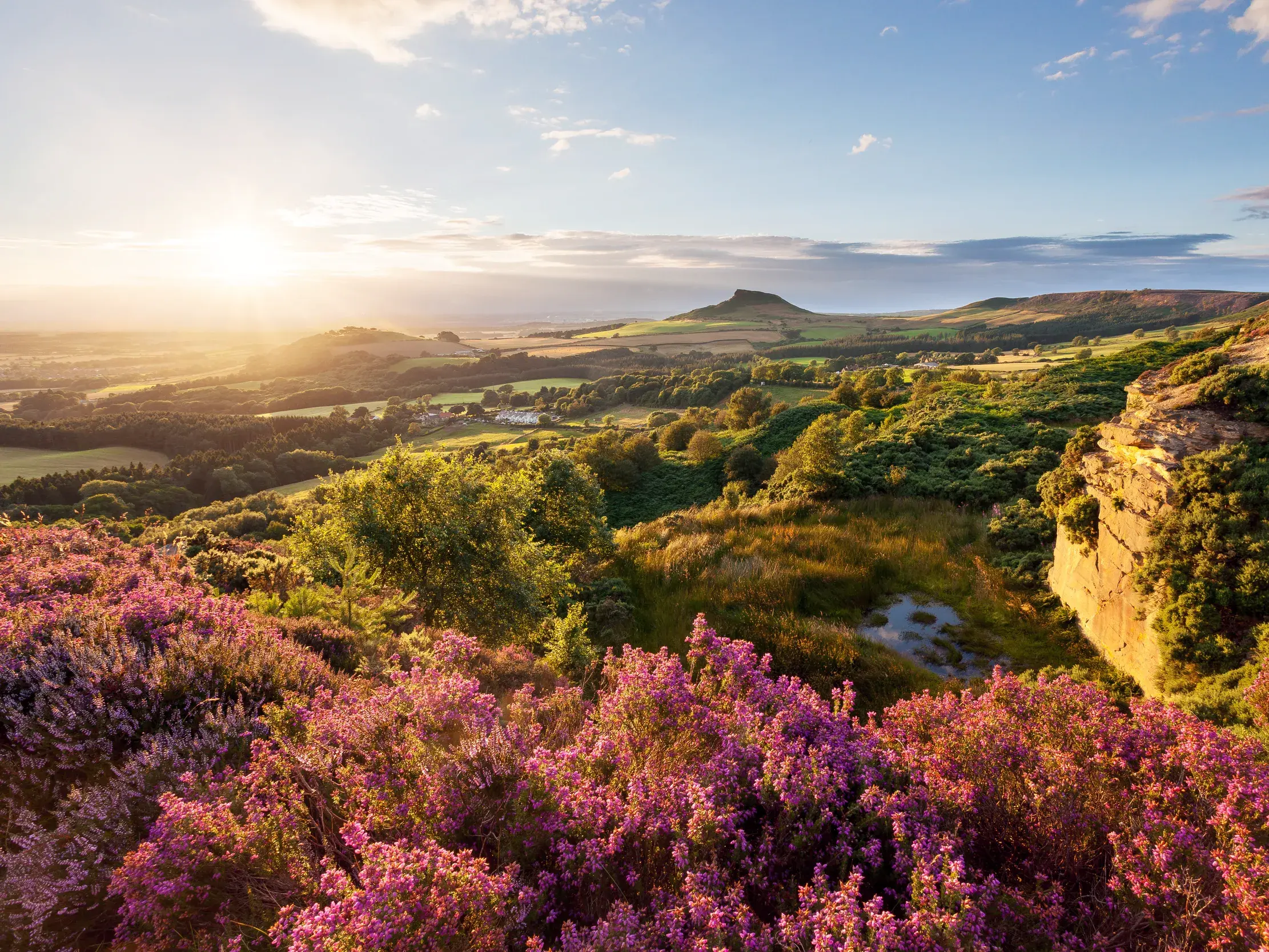 Blühende, lila Heide im Vordergrund bei Sonnenaufgang über den North York Moors mit Blick auf den Berg Roseberry Topping.